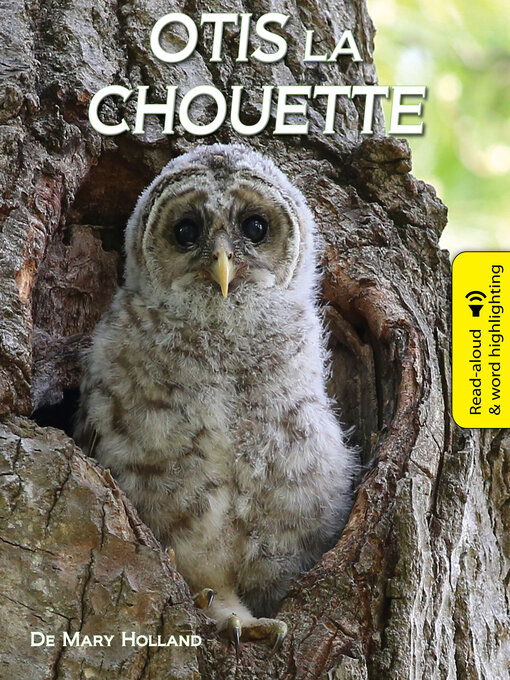 Title details for Otis La Chouette (Otis the Owl) by Mary Holland - Available